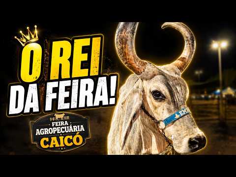 Feira Agropecuária de Caicó/RN | RESENHA | Ep. 08